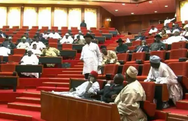 Conduct Rivers re-run elections within five weeks or we suspend sitting – Senate orders INEC